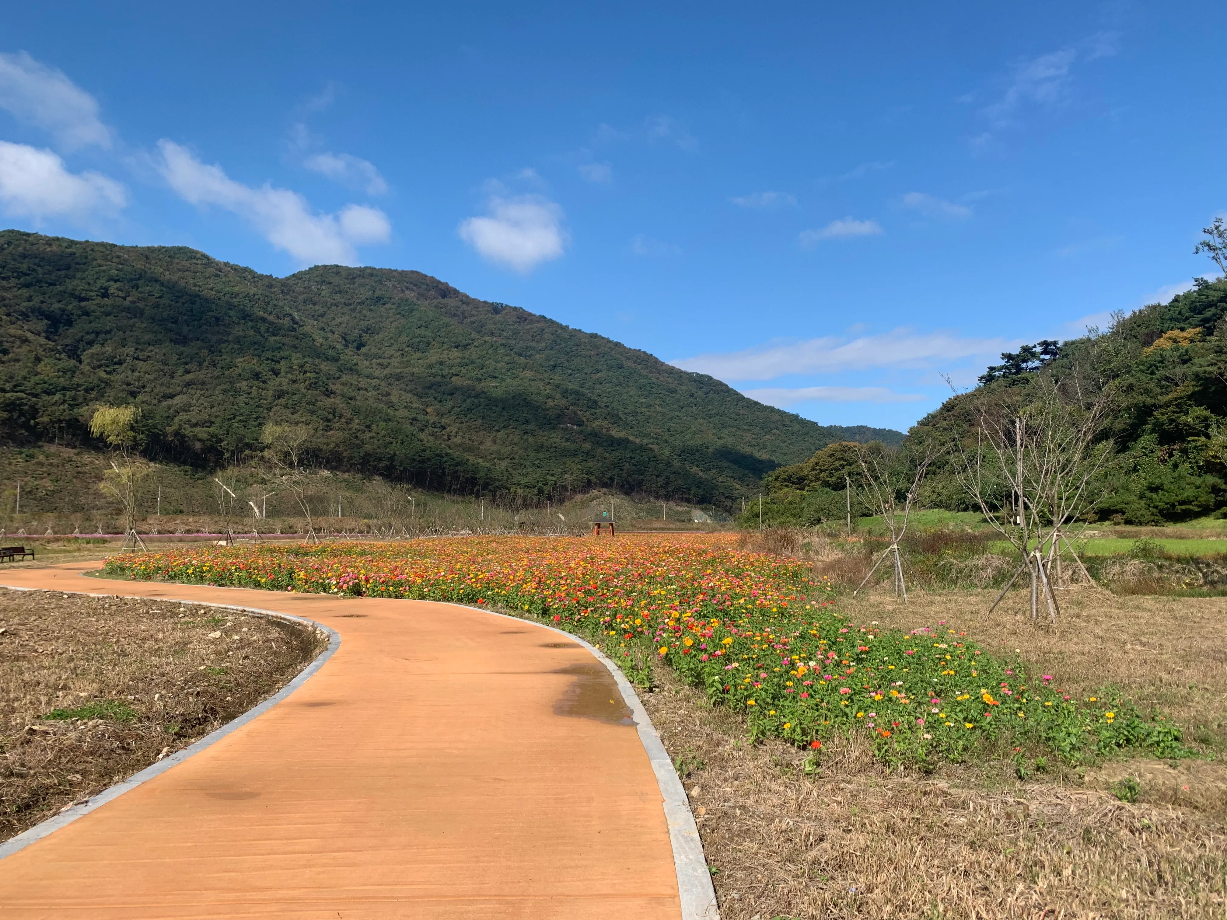 해나루펜션 1동 풍경